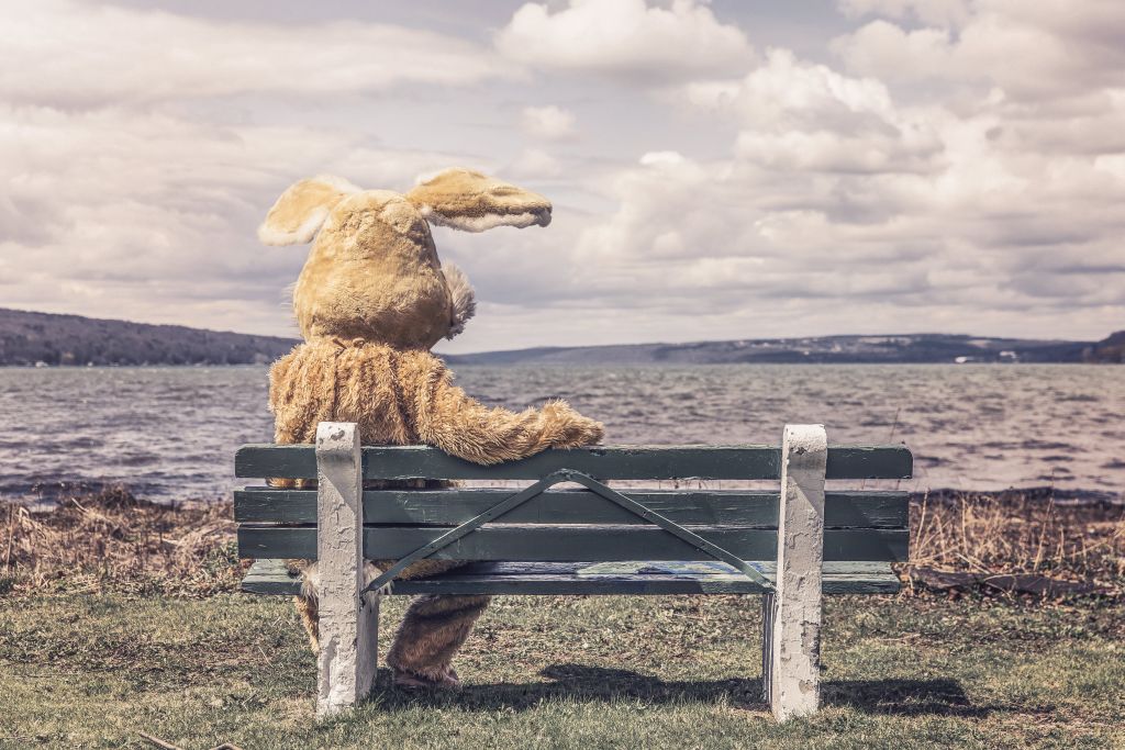 Person in a rabbit's costum sitting alone on a bench